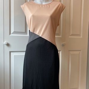 Pink Martini Sheath Dress